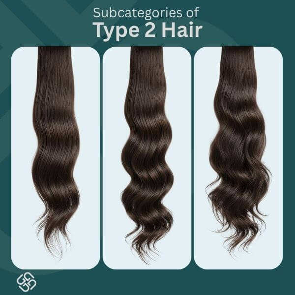 Type 2 Hair
